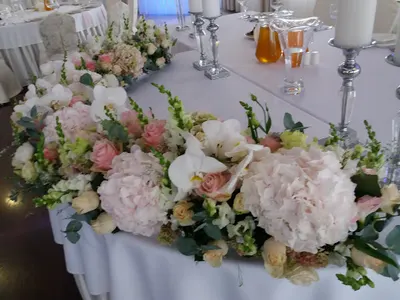 Kwiaciarnia Winobluszcz